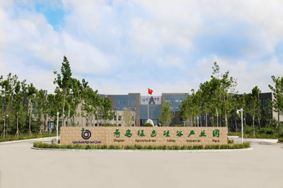 青島綠色硅谷科技園 美麗鄉村打卡地的科技與生態融合